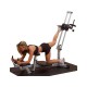 Appareil de Fitness Fessiers Glute Master Powerline