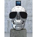 AeroSkull HD Plus Bluetooth Speaker Jarre Technologies Crome Silver